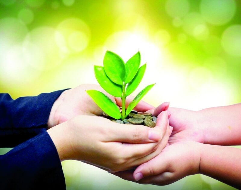 جمعية مرصفا للخدمات العامة